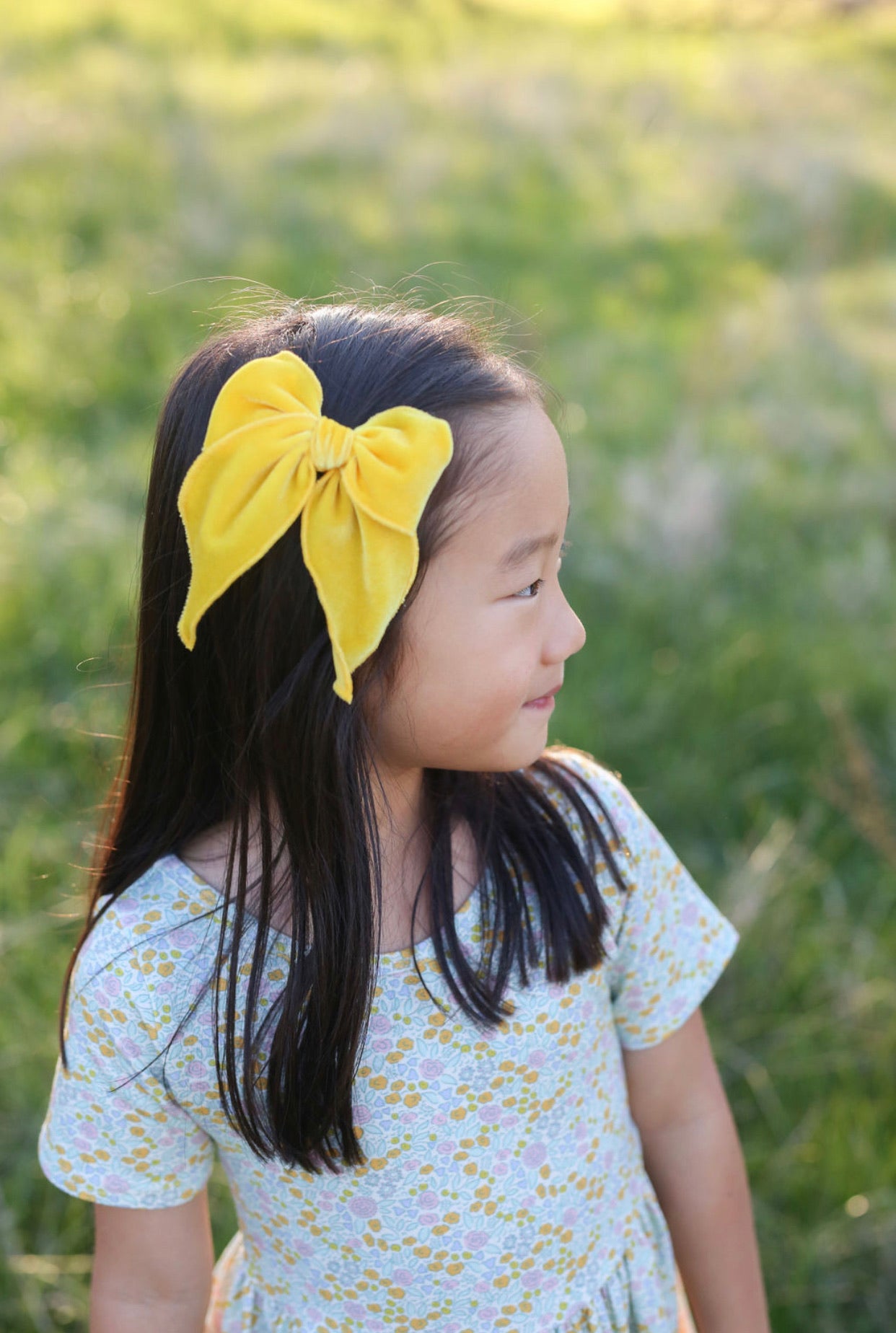 Sunshine Velvet - Oversized Fairytale